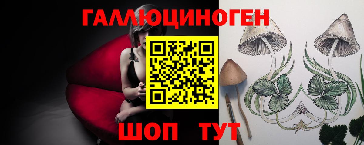 Псилоцибиновые грибы Cubensis  Вход с VPN  как найти наркотики  Малоярославец 